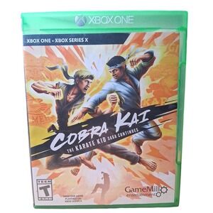 Cobra Kai The Karate Kid Saga Continues Xbox One Xbox Series X Video Game